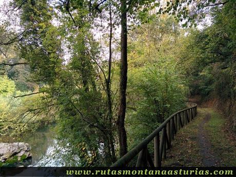 Rio Nora junto a senda de Priañes