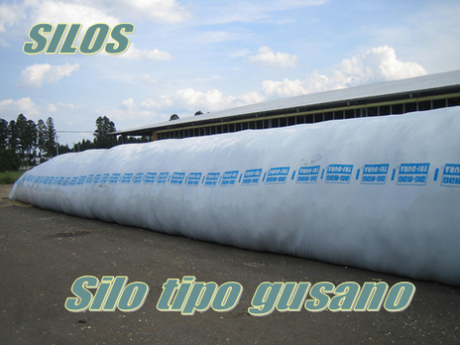 ENSILAJE4 ENSILAJE: METODO DE CONSERVACION DE FORRAJE A BAJO COSTO!!!