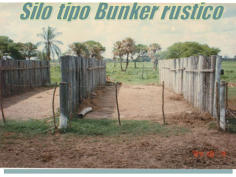 ENSILAJE6 ENSILAJE: METODO DE CONSERVACION DE FORRAJE A BAJO COSTO!!!