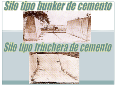 ENSILAJE5 ENSILAJE: METODO DE CONSERVACION DE FORRAJE A BAJO COSTO!!!