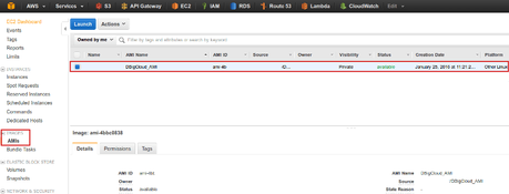 Cómo crear una plantilla de una instancia EC2 de AWS en caliente AMI de AWS creada por DBigCloud