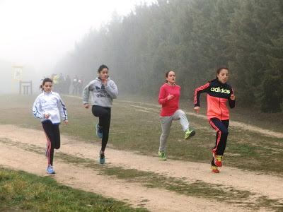 CAMPEONATO DE MADRID DE CAMPO A TRAVÉS ESCOLAR 2016