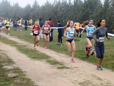 CAMPEONATO DE MADRID DE CAMPO A TRAVÉS ESCOLAR 2016