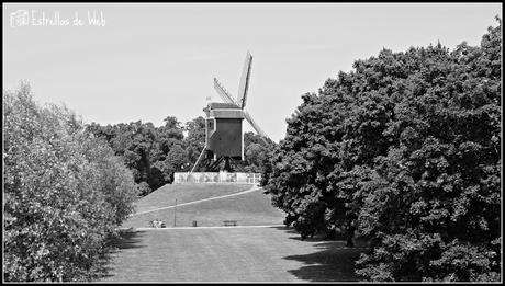 Hoy Compartimos: Blanco y Negro