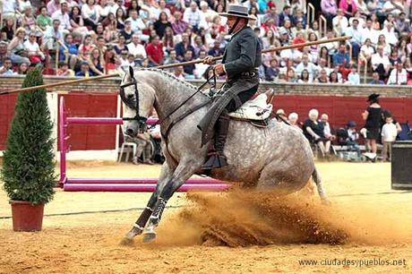 Córdoba, la ciudad del Caballo en 2016. Córdoba Ciudad del Caballo.