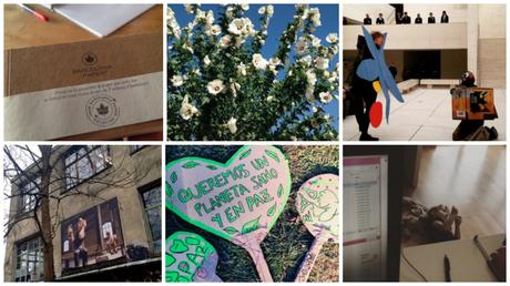 10 posts del 2015 que merecen otra oportunidad (tal vez) Posts 2014 de Medio ambiente