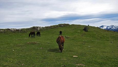 Picos la Berza y Redondo desde Taja