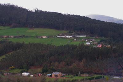 ¿En qué nos afecta la prorroga a la concesión de ENCE en Pontevedra? ¿En qué nos afecta la prorroga a la concesión de ENCE en Pontevedra?