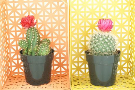 diy-estante-casa-de-estilo-nordico diy-estante-casa-de-estilo-nordico