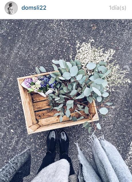 INSTAGRAM FAVORITES.- INSTAGRAM FAVORITES.-