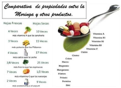 Moringa: propiedades y beneficios