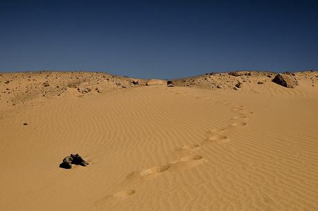 Western Desert Sand by Divya Thakur