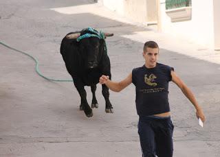 CONVOCADO EL CONCURSO PARA EL CARTEL ANUNCIADOR DEL XIV CONGRESO NACIONAL DE TORO DE CUERDA