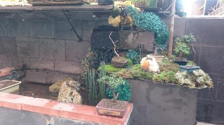 Nueva ubicación : Mames Nueva ubicación : Mames