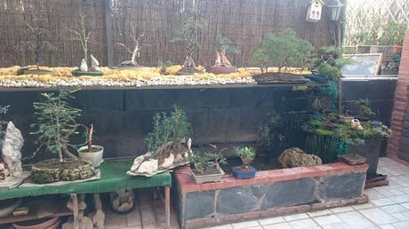 Nueva ubicación : Mames Nueva ubicación : Mames