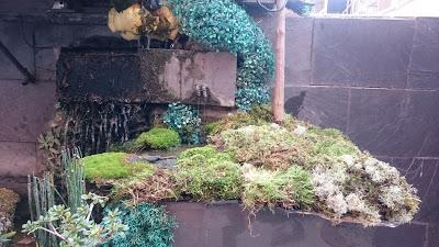 Nueva ubicación : Mames Nueva ubicación : Mames