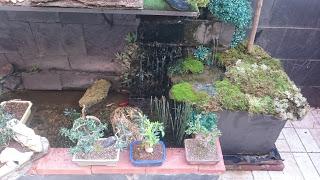 Nueva ubicación : Mames Nueva ubicación : Mames