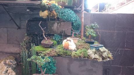 Nueva ubicación : Mames Nueva ubicación : Mames