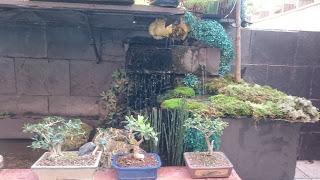 Nueva ubicación : Mames Nueva ubicación : Mames