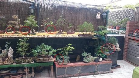 Nueva ubicación : Mames Nueva ubicación : Mames