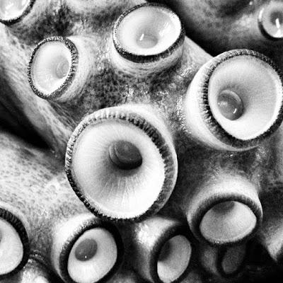 Aceptamos pulpo como resumen de la blogosfera Aceptamos pulpo como resumen de la blogosfera