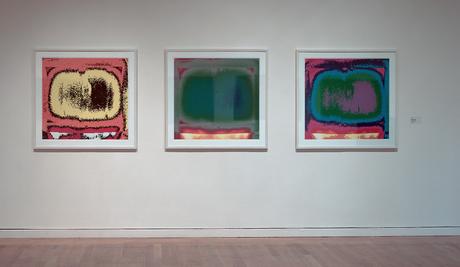 ¿Quién le teme al azul, rojo y verde?: Una conversación con Günther Selichar Inkjetprints, Thermographien Tufts University Art Gallery, Medford 2006