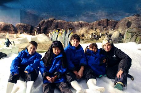 Los 10 parques más divertidos para viajar con hijos, por @GoEuro Viajar con niños: Faunia