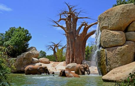 Los 10 parques más divertidos para viajar con hijos, por @GoEuro Viajar con niños: Bioparc