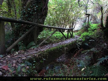 Ruta de los Molinos del Rio Profundo: Puente