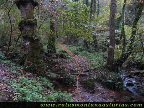 Ruta de los Molinos del Rio Profundo: Cruce de arroyo