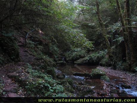 Ruta de los Molinos del Rio Profundo: Sendero y río