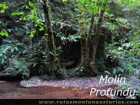 Ruta de los Molinos del Rio Profundo: Molín Profundu