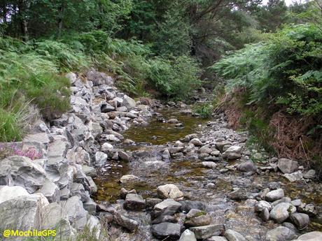 Gran Bretaña en autocaravana IV: en busca de la naturaleza