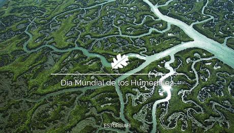 Día Mundial de los Humedales