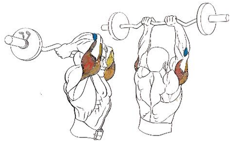 ¡Entrena tus tríceps! Press-frances-de-pie