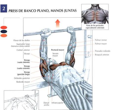 ¡Entrena tus tríceps! press estrecho
