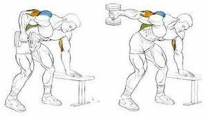 ¡Entrena tus tríceps! patada hacia atrás con mancuerna