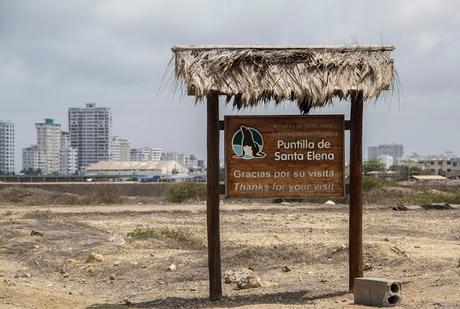 Perfiles costeros bien poblados