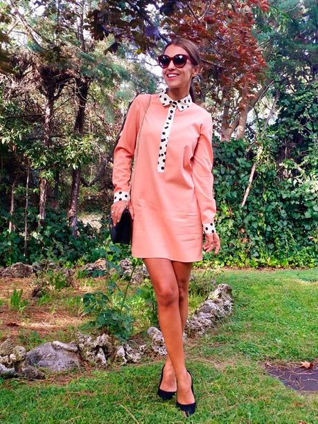 PAULA ECHEVARRIA Y SUS DOLORES PROMESAS PAULA ECHEVARRIA Y SUS DOLORES PROMESAS