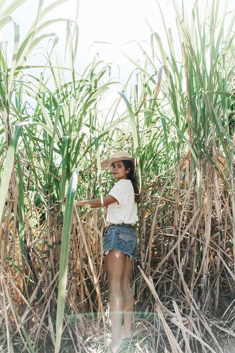 Jamica-Sugar_Cane_Field-Levis-Straw_Hat-Reebok_Tee-Outfit-Summer-Collage_on_The_Road-Bamboo_Walls-38