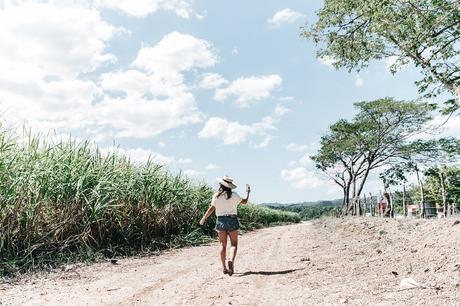 Jamica-Sugar_Cane_Field-Levis-Straw_Hat-Reebok_Tee-Outfit-Summer-Collage_on_The_Road-Bamboo_Walls-52