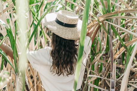 Jamica-Sugar_Cane_Field-Levis-Straw_Hat-Reebok_Tee-Outfit-Summer-Collage_on_The_Road-Bamboo_Walls-49