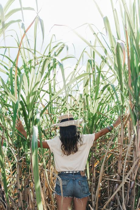 Jamica-Sugar_Cane_Field-Levis-Straw_Hat-Reebok_Tee-Outfit-Summer-Collage_on_The_Road-Bamboo_Walls-30