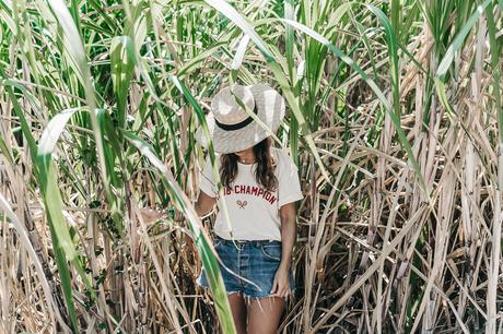 Jamica-Sugar_Cane_Field-Levis-Straw_Hat-Reebok_Tee-Outfit-Summer-Collage_on_The_Road-Bamboo_Walls-47