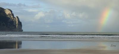 CABECINEGRAS EN PLENO AUGE EN CANTABRIA