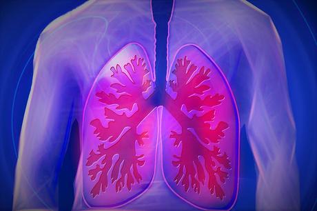 Un mayor consumo de fibra podría mejorar la función pulmonar