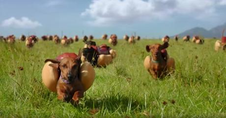 Perros salchicha disfrazados de perritos calientes en este spot de Heinz Perros salchicha disfrazados de perritos calientes en este spot de Heinz