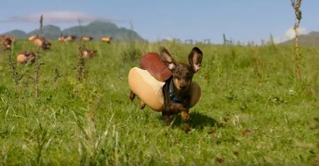 Perros salchicha disfrazados de perritos calientes en este spot de Heinz Perros salchicha disfrazados de perritos calientes en este spot de Heinz