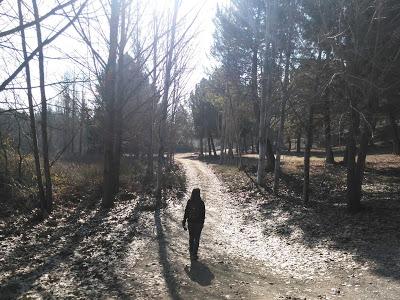Itinerario ornitológico por el día de los humedales Itinerario ornitológico por el día de los humedales