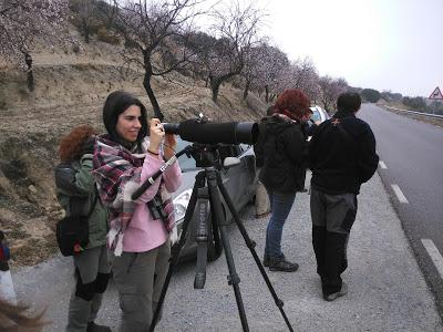 Itinerario ornitológico por el día de los humedales Itinerario ornitológico por el día de los humedales